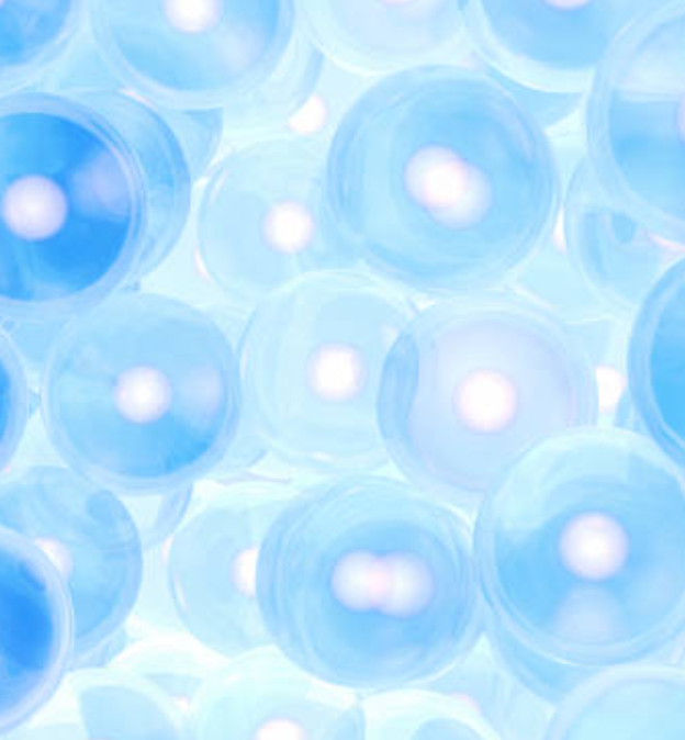 Parlons peu, parlons bien : les probiotiques en cosmétique